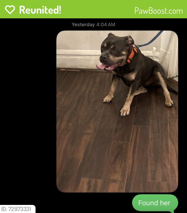 Reunited Female Dog last seen Harding, Stockton, CA 95202