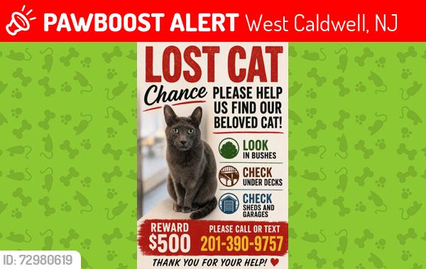 Lost Male Cat last seen Deerfield , West Caldwell, NJ 07006