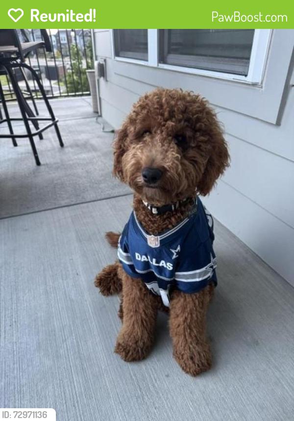 Reunited Male Dog last seen Brea apmts Wendell Fall, Wendell, NC 27591