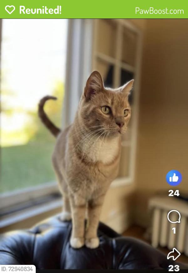 Reunited Male Cat last seen Near Grande Ave SE near Forest Dr SE, Cedar Rapids, IA 52403