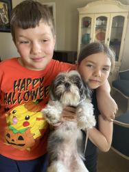 Reunited Female Dog last seen 13th street and 52nd avenue , St. Petersburg, FL 33703