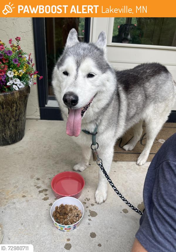 Found/Stray Female Dog last seen Pillsbury And Plateau, Lakeville, MN 55044