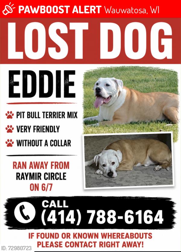 Lost Male Dog last seen Hey 100 and Menomonee River Parkway , Wauwatosa, WI 53222