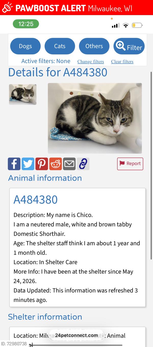 Lost Male Cat last seen 27th Center , Milwaukee, WI 53206