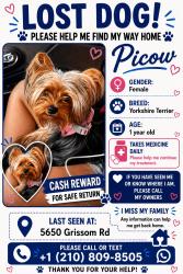 Lost Female Dog last seen Near Grissom Rd, San Antonio, TX 78238