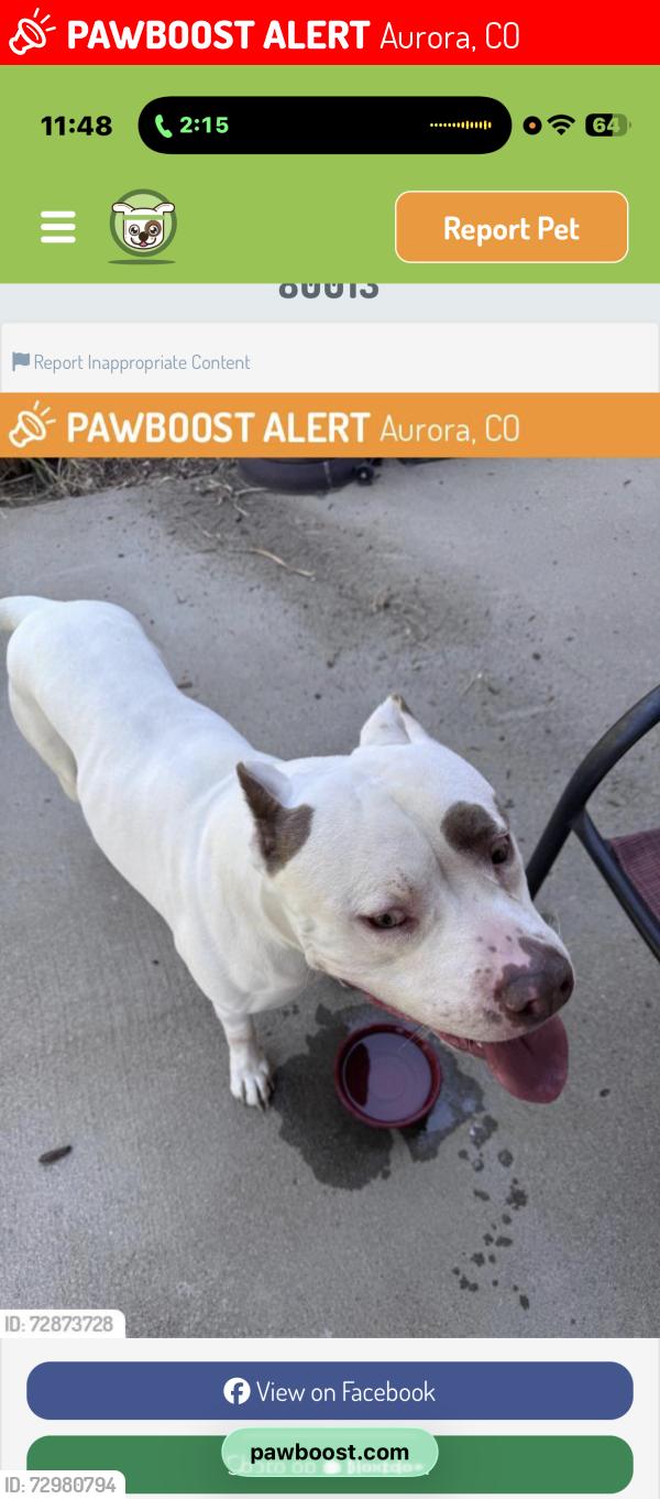 Lost Male Dog last seen Not sure around address, Aurora, CO 80013