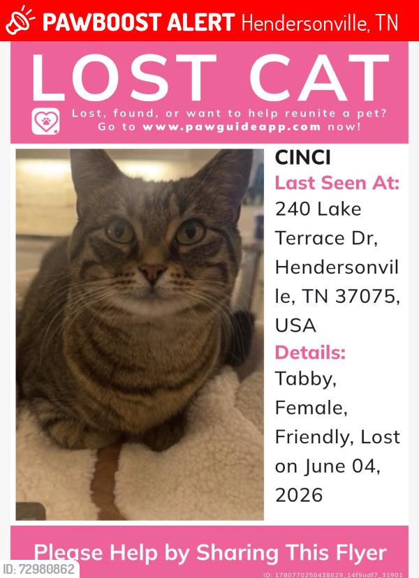 Lost Female Cat last seen Lake Terrace on indian lake peninsula , Hendersonville, TN 37075