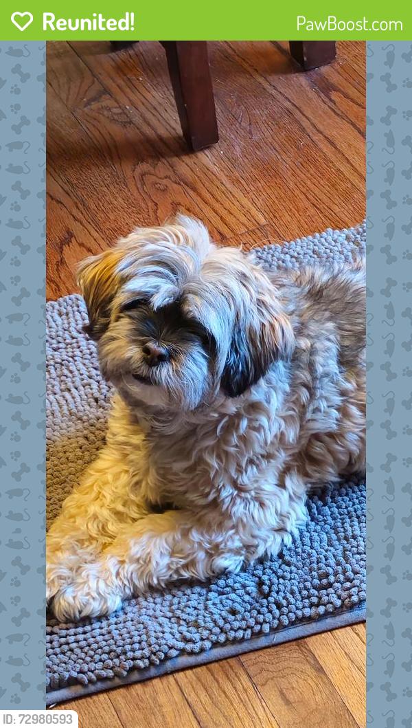 Reunited Female Dog last seen Hillman Road, Teaneck, NJ 07666