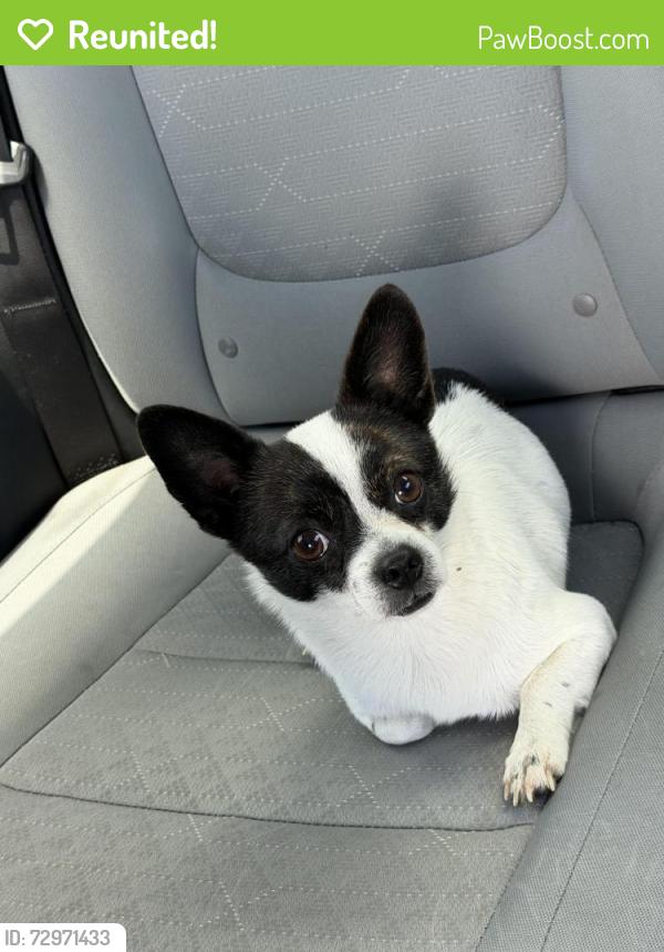 Reunited Male Dog last seen Between Menta St and Uracus St on S John Young Prwy, Orlando, FL 32837