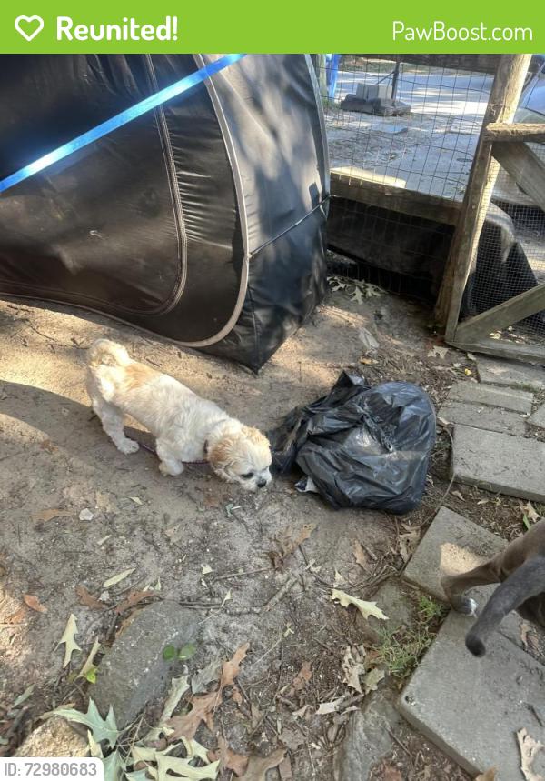 Reunited Male Dog last seen Woodstock park, Virginia Beach, VA 23464