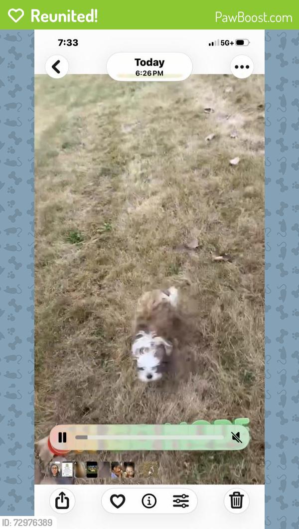 Reunited Female Dog last seen Near Jackson Ave, Hammond, IN 46324, USA, Hammond, IN 46324