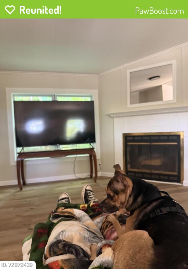 Reunited Male Dog last seen Woodlawn st se, Cleveland, TN 37323