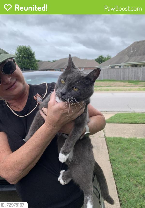 Reunited Unknown Cat last seen 50th Court and 202nd, Broken Arrow, OK 74012