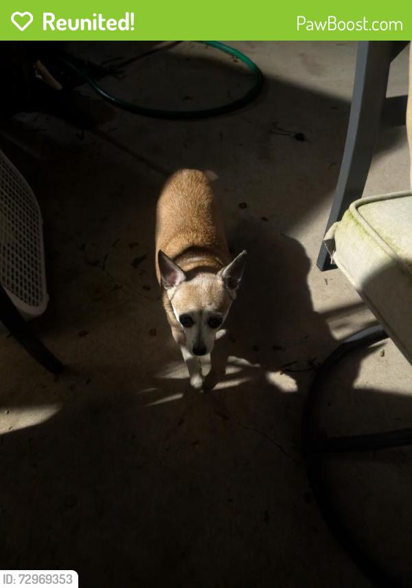 Reunited Unknown Dog last seen Gleneagle Dr N , Conroe, TX 77385