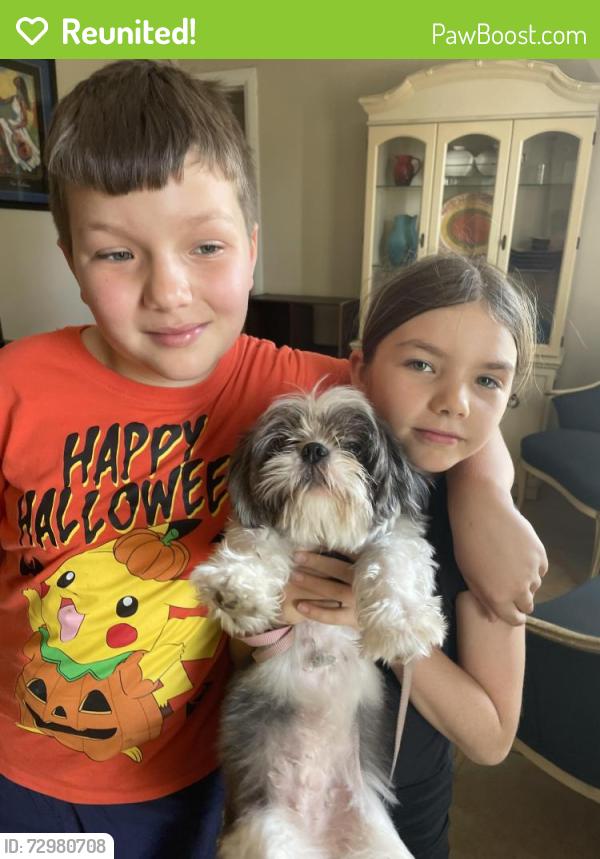 Reunited Female Dog last seen 13th street and 52nd avenue , St. Petersburg, FL 33703