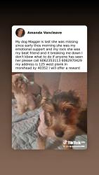 Lost Female Dog last seen Junk yard Lawrence causill, Morehead, KY 40351