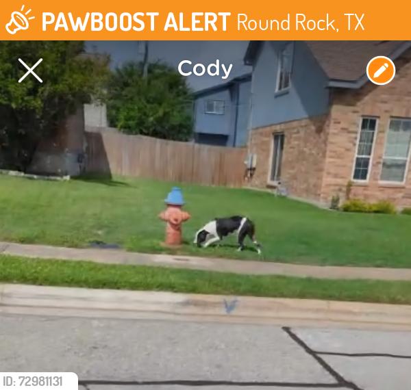 Found/Stray Unknown Dog last seen Southeastern Trl and Zephyr, Round Rock, TX 78664
