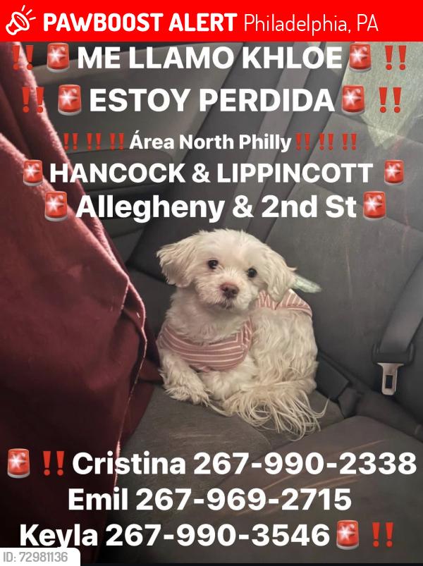 Lost Female Dog last seen Near north Hancock St , Philadelphia, PA 19133