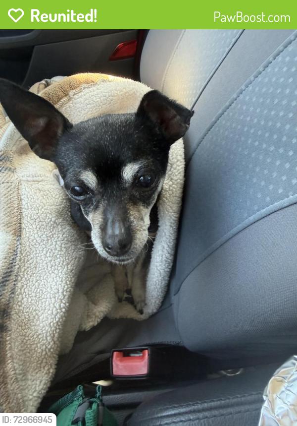 Reunited Female Dog last seen Travis Blvd and Pennsylvania Ave, Fairfield, CA 94533