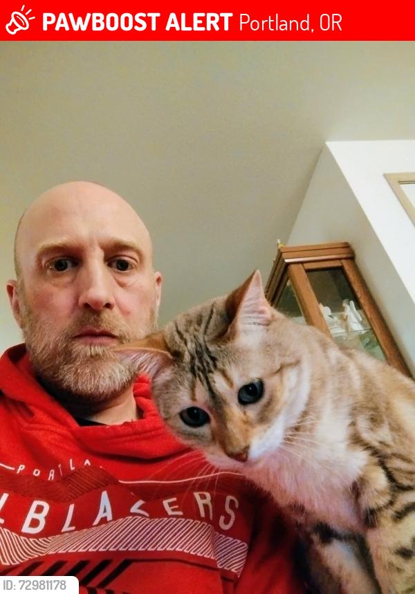 Lost Female Cat last seen SW Huber St and SW Capital Hwy, Portland, OR 97219