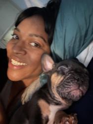 Reunited Male Dog last seen Near W Vernon Ave, Los Angeles, CA 90008, USA, Los Angeles, CA 90008