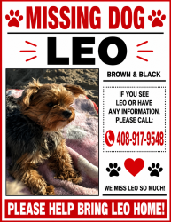 Reunited Male Dog last seen Roehampton, San Jose, CA 95127