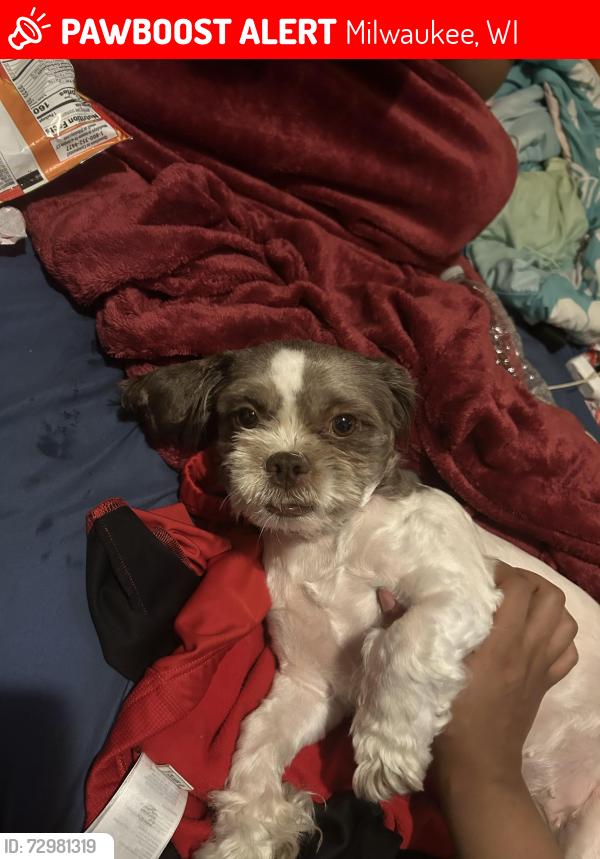Lost Female Dog last seen Around berryland area , Milwaukee, WI 53209