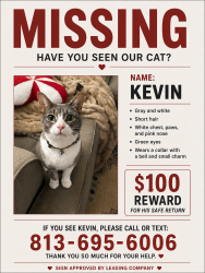 Lost Male Cat last seen Travelers Rest, Travelers Rest, SC 29690