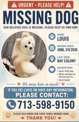 Lost Male Dog last seen Calder Dr, League City, TX 77539