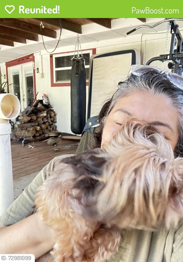Reunited Male Dog last seen Paint rock rd , San Angelo, TX 76905