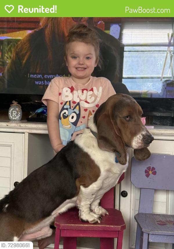 Reunited Male Dog last seen Archery club and Kenner Rd , New Ringgold, PA 17960