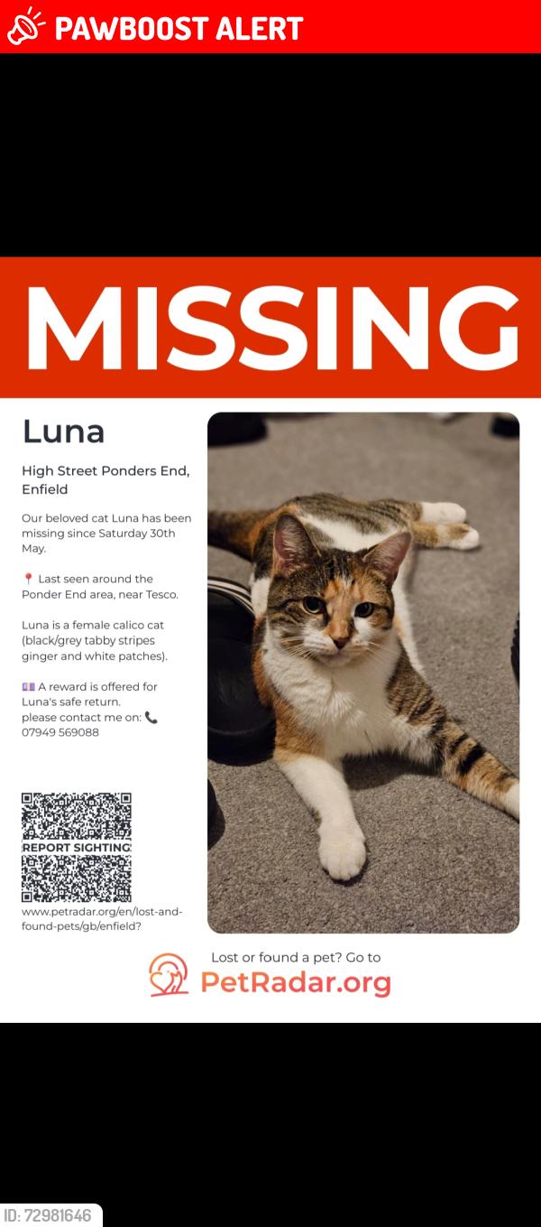 Lost Female Cat last seen Tesco ponders end car park, Ponders End, England EN3