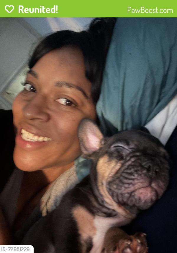 Reunited Male Dog last seen Near W Vernon Ave, Los Angeles, CA 90008, USA, Los Angeles, CA 90008