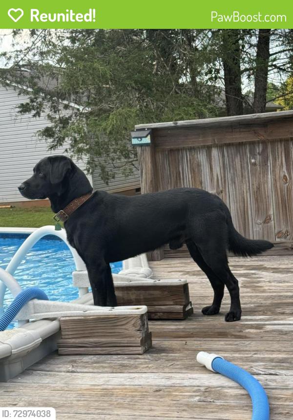Reunited Male Dog last seen Bridle Path Drive off CatSquare Road Vale, Catawba County, NC 28168
