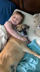 Lost Male Dog last seen Sunset Highway, Medical Lake, WA 99022