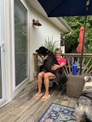 Reunited Male Dog last seen Between 52nd Street and NW Merrimac on Northwood Rd, Riverside, MO 64151