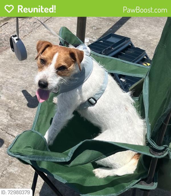Reunited Female Dog last seen Mission Del Lago San Antonio, San Antonio, TX 78221