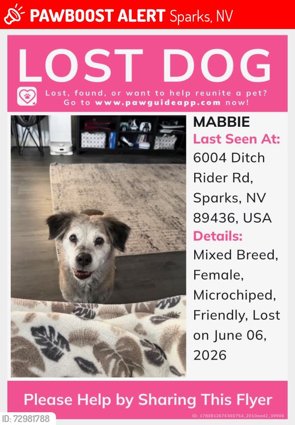 Lost Female Dog last seen Henry Orr Parkway and Shinning Sunset , Sparks, NV 89436