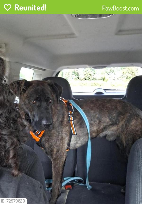 Reunited Male Dog last seen Willamette manor park , Keizer, OR 97303