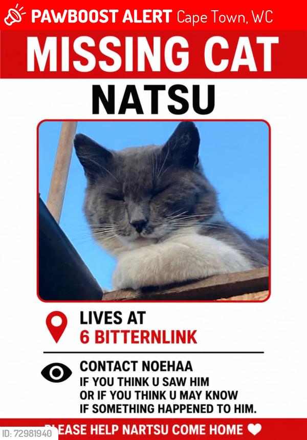 Lost Male Cat last seen Fisherman's walk ,Pelican Park High school, Cape Town, WC 7941