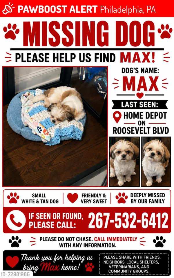 Lost Male Cat last seen Roosevelt Blvd, Philadelphia, PA 19152
