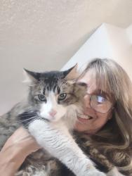 Reunited Male Cat last seen Gilbert/  Brookhurst , Anaheim, CA 92801