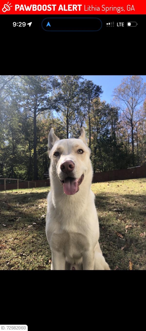 Lost Male Dog last seen Old Douglasville rd, Lithia Springs, GA 30122