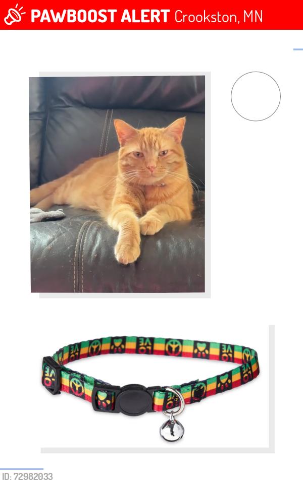 Lost Male Cat last seen Near 7th ave s crookston Minnesota , Crookston, MN 56716