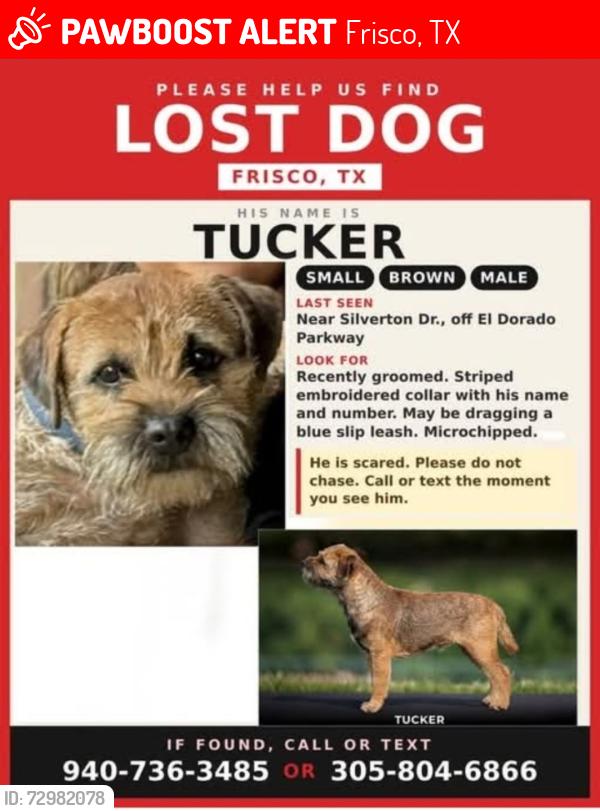 Lost Male Dog last seen Preston & El Dorado, Frisco, TX 75033
