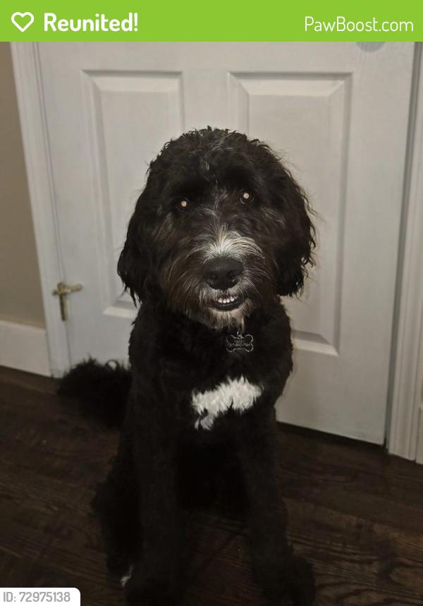 Reunited Male Dog last seen W CR 144 and Morgantown Rd, Bargersville IN, Bargersville, IN 46106