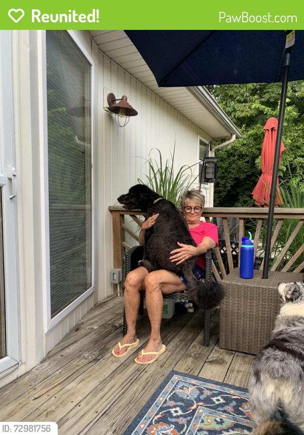 Reunited Male Dog last seen Between 52nd Street and NW Merrimac on Northwood Rd, Riverside, MO 64151