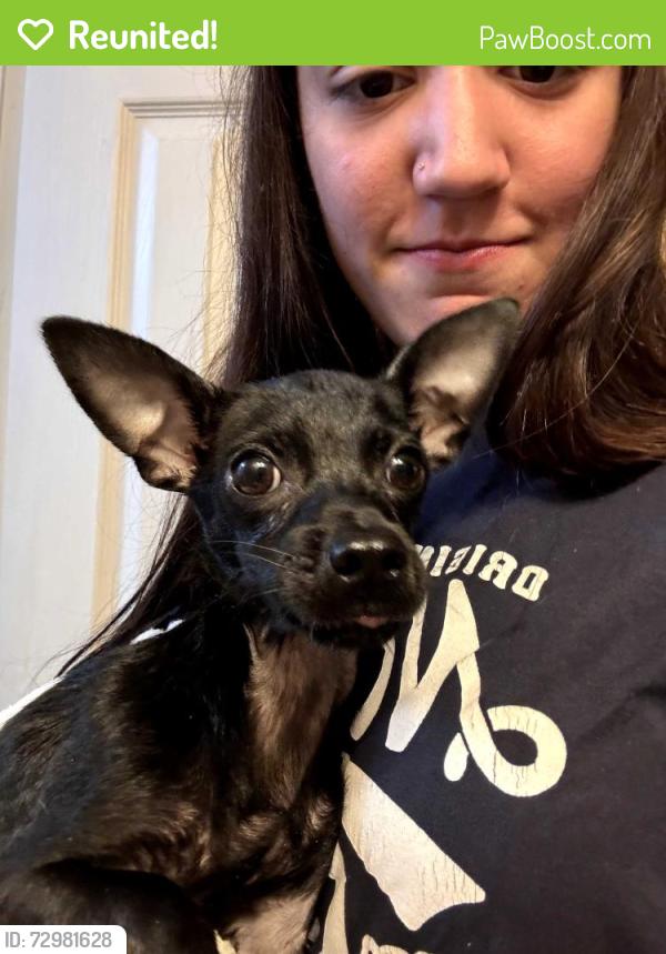 Reunited Male Dog last seen Tres Rios, San Angelo, TX 76903