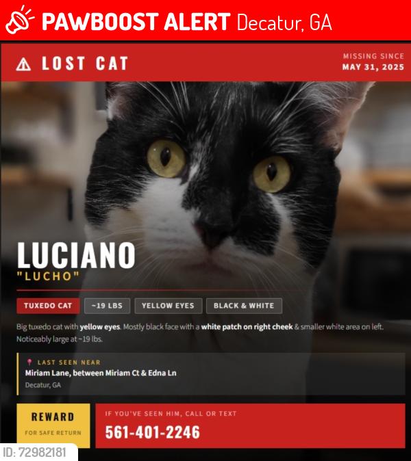 Lost Male Cat last seen Between Miriam CT and Edna Ln, Decatur, GA 30032