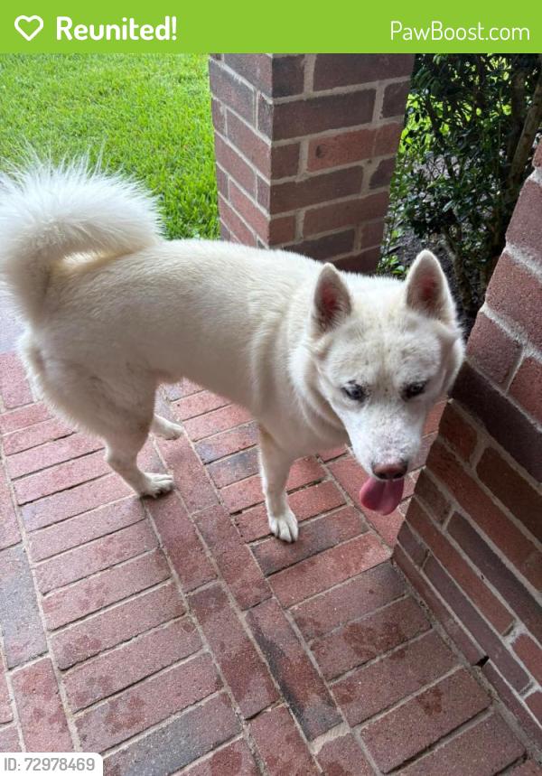 Reunited Male Dog last seen Via dora, Newport, TX 77532
